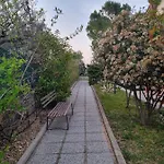 Bed & Breakfast San Casciano