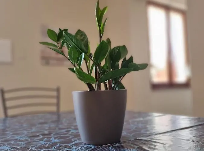 San Casciano Alojamento de Acomodação e Pequeno-almoço Narni